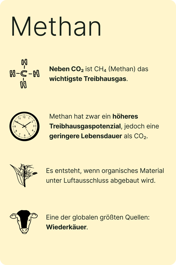 https://storage.googleapis.com/media.emyze.com/methan.infografik.png